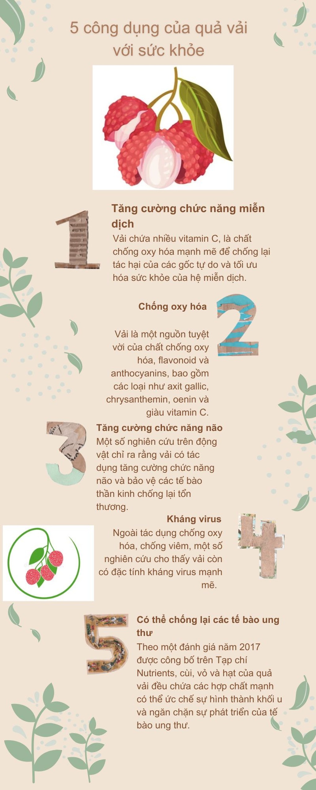 Mỗi ngày bạn nên ăn bao nhiêu quả vải? - 2 Mỗi ngày bạn nên ăn bao nhiêu quả vải? - 2