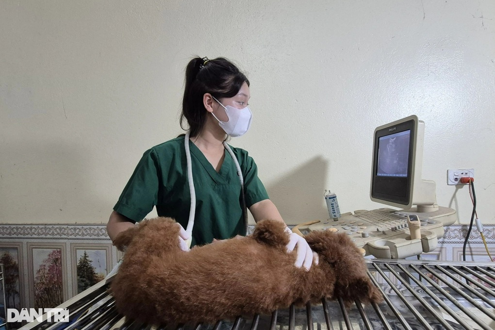 Nữ bác sĩ kể chuyện cứu bệnh nhân 4 chân, tiết lộ mặt trái nghề nguy hiểm - 1 Nữ bác sĩ kể chuyện cứu bệnh nhân 4 chân, tiết lộ mặt trái nghề nguy hiểm - 1
