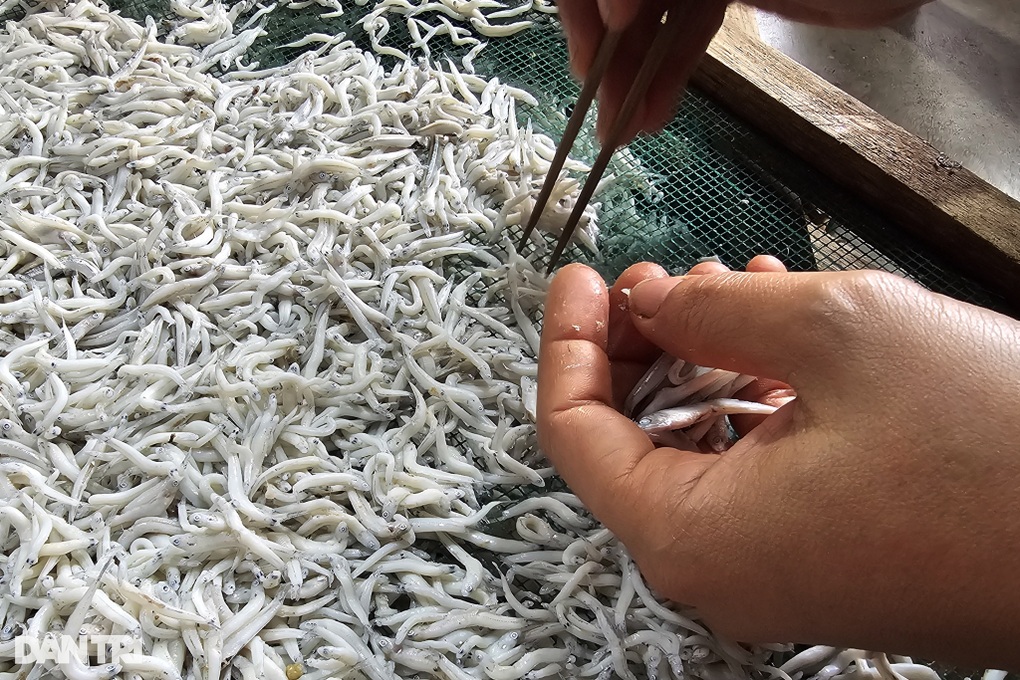 Nghề lạ ven biển giúp nhiều phụ nữ kiếm tiền triệu từ đôi đũa tre - 2 Nghề lạ ven biển giúp nhiều phụ nữ kiếm tiền triệu từ đôi đũa tre - 2