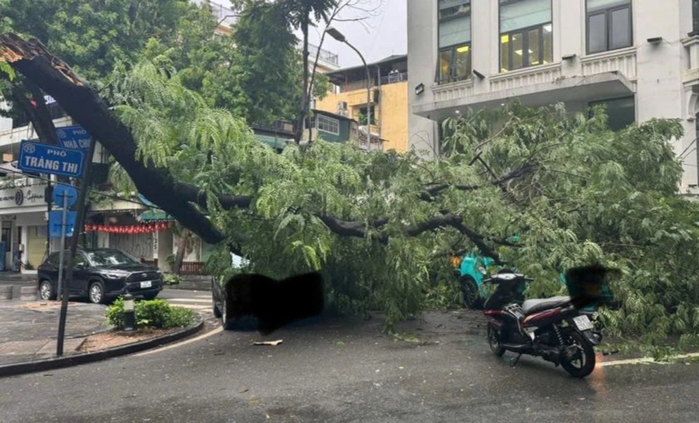 Hà Nội: Cây phượng đổ trúng 3 ô tô trên phố Tràng Thi - 1 Hà Nội: Cây phượng đổ trúng 3 ô tô trên phố Tràng Thi - 1