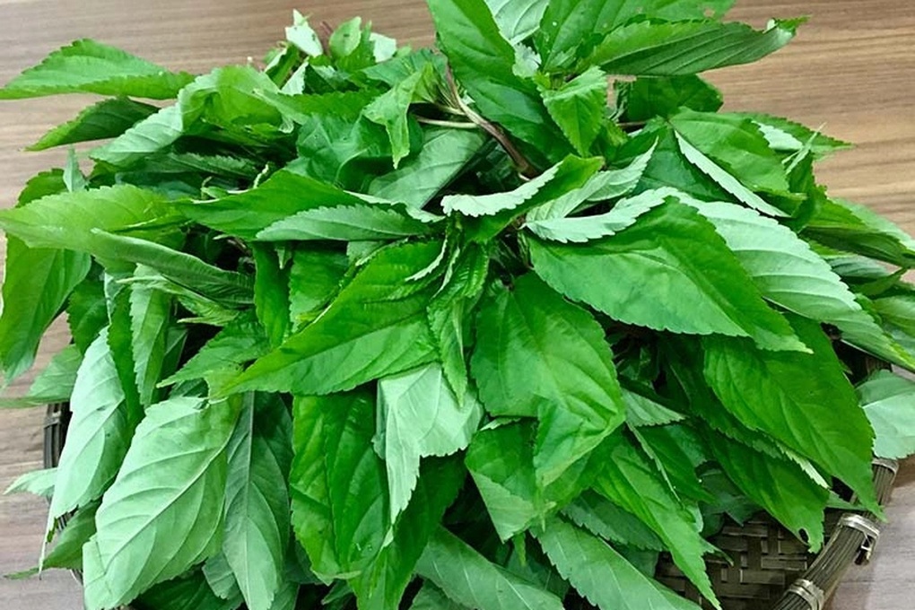 Loại rau siêu rẻ, ít ngậm hóa chất, người Nhật khen hết lời - 1 Loại rau siêu rẻ, ít ngậm hóa chất, người Nhật khen hết lời - 1