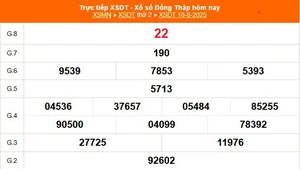 XSDT 18/8 - Kết quả xổ số Đồng Tháp hôm nay 18/8/2025 - Trực tiếp XSDT ngày 18 tháng 8