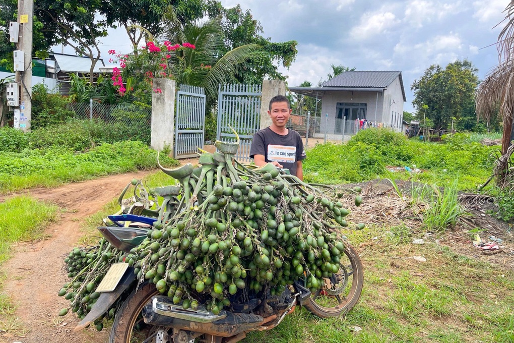 Cây trồng chơi chơi mang lại thu nhập hàng trăm triệu đồng cho nông dân - 1 Cây trồng chơi chơi mang lại thu nhập hàng trăm triệu đồng cho nông dân - 1