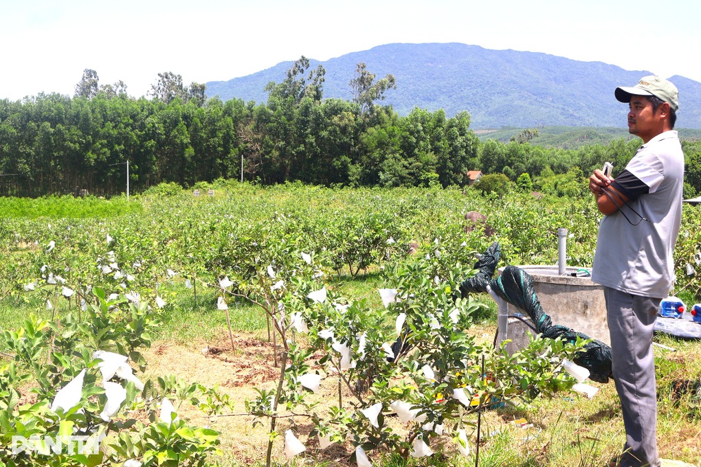Đánh bạc với đất cằn, 8X trở thành triệu phú - 1