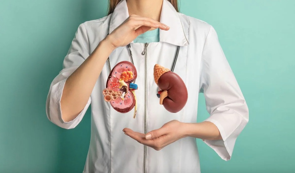 Thận suy không hay biết vì những thói quen tưởng vô hại - 1