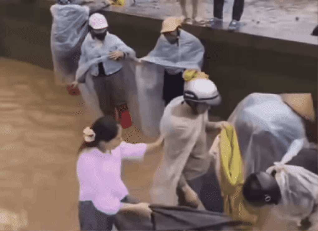 Sự thật clip người dân hôi cá tầm, cá hồi mặc chủ ao la hét ngăn cản - 1